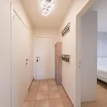 Ground Floor Apartment With Large Garden Middelkerke